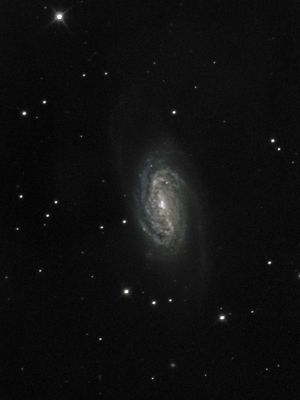 2903.jpg