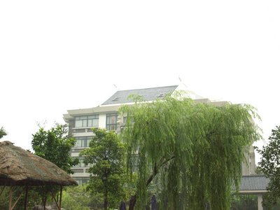 P7223161.JPG