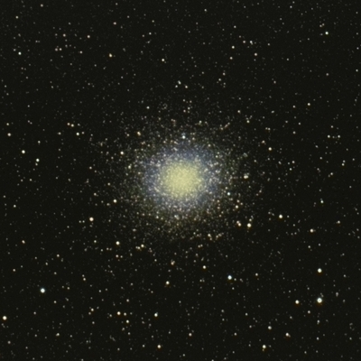 n5139.jpg