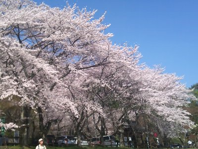 2011-04-10 09.38.59.jpg