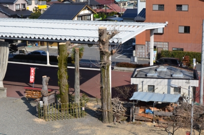 DSC_3582.jpg