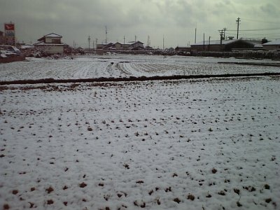 雪