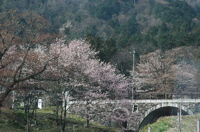 霞間ヶ渓