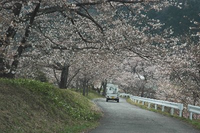 霞間ヶ渓