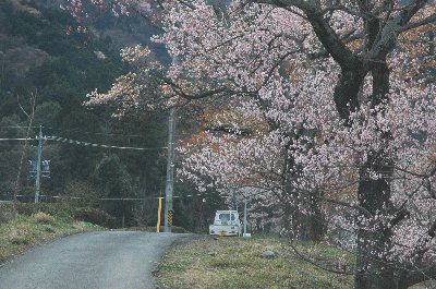霞間ヶ渓