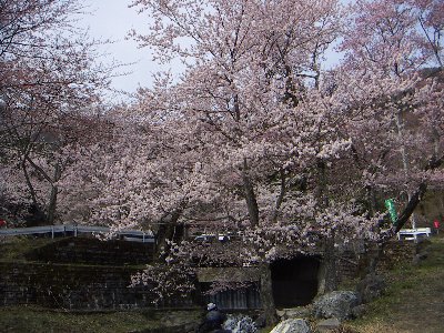 霞間ヶ渓