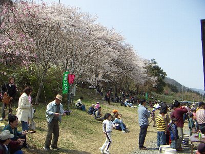 霞間ヶ渓