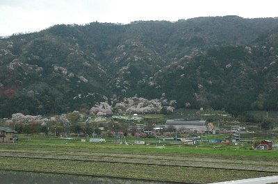 池田山