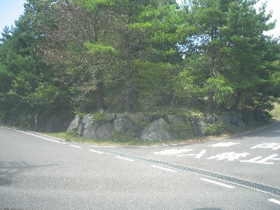 二股