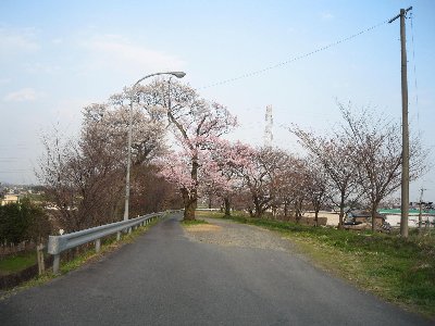 IMG_0999.jpg