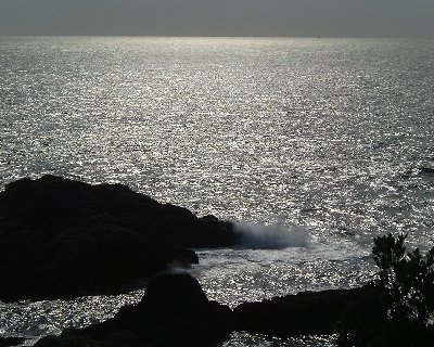 DSCF1276.jpg