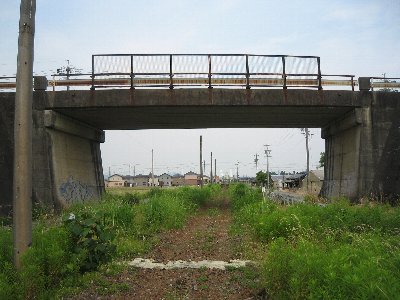 IMG_2762.jpg