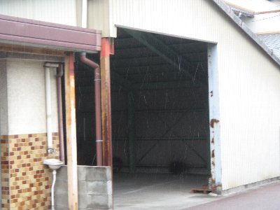 IMG_3161.jpg